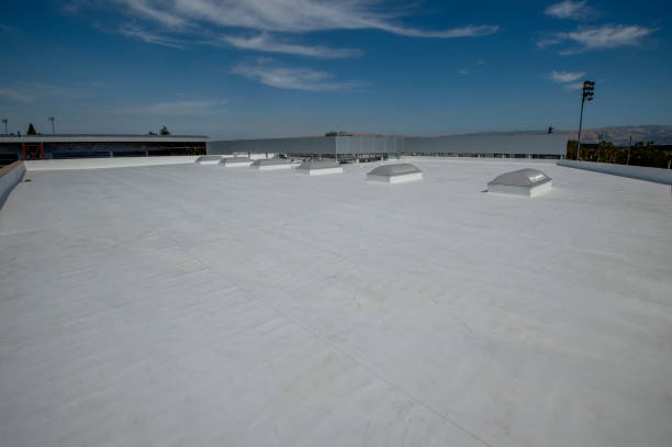 Best Roof Maintenance and Cleaning  in Trinity, AL