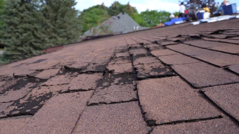 Best Green or Eco-Friendly Roofing Solutions  in Trinity, AL