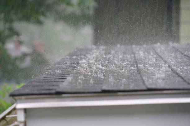 Best Storm Damage Roof Repair  in Trinity, AL