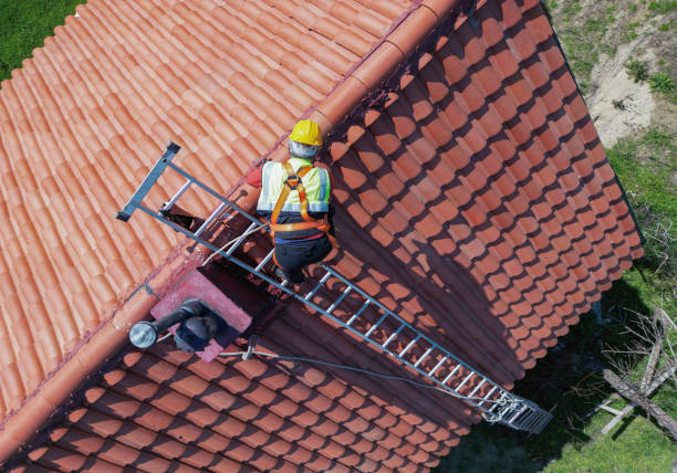 Best Solar Panel Roofing Installation  in Trinity, AL