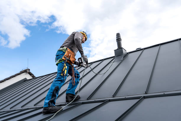 Waterproofing in Trinity, AL